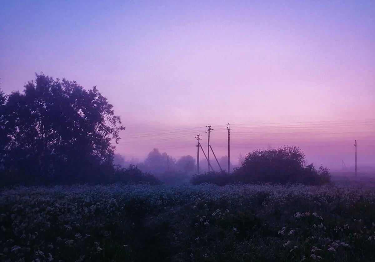乐鱼体育：在热爱与理性之间点亮体育娱乐的新航线