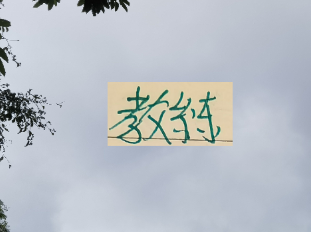 开云体育网址-越折腾越能拿冠军 ！五年来海港4次换教练 4夺冠军